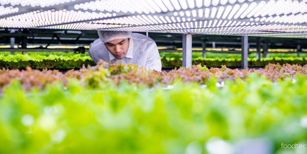 Tech Is Shaping the Future of Food: Here's How Venture Capital is Carrying that Tech Across the Finish Line